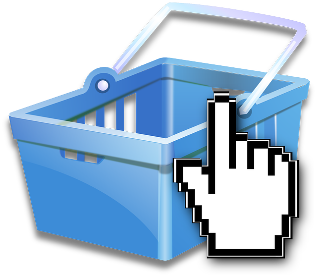 nakupování v internetovém obchodě